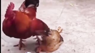 سبحان الله سبحان الخالق مهما كان حتي لو  حيوان مستأنس بيحسوا وبيزعلوا زينا بالضبط