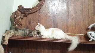 Adorable moment.