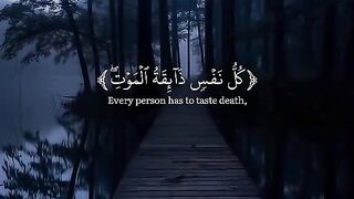 Quran Tilawat 5