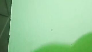 Video 623