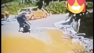 ایسے ہوتے ہیں بہادر