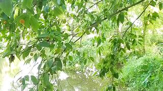 village view 3