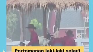 Laki² yang penting bernafas dan tak gigit