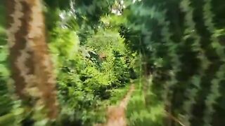 Just fun 37