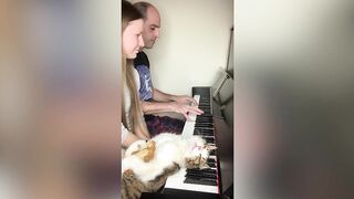 Cat loves napping on piano - while owner plays tunes