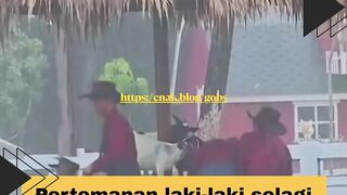 Kalau laki-laki cari temen mah gampang.