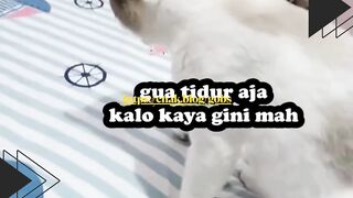 Baru juga main bentar, udah disuruh pulang lagi. apa aku anak kecil?!