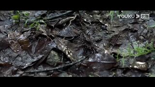 The man followed the little snake to the snake cave and smashed all the snake eggs,