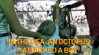 IN THE USA, AN OCTOPUS ATTACKED A BOY