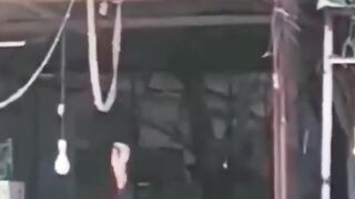 100%comedy