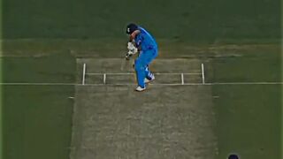 Cricket satus