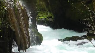 Waterfall in Green Wild Nature