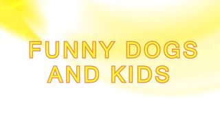 funny dogs & kids