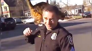 Trending 2million views |funny animal TikTok compilation video|laugh hard| #104