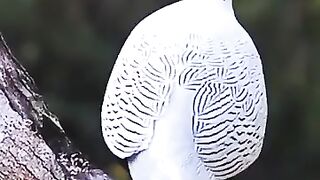 Bismilah ki brqat