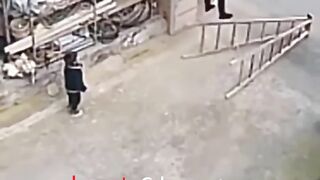 Best video on Internet