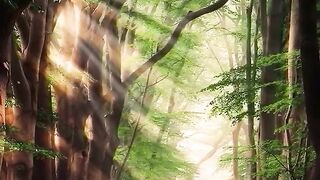 Beautiful view of nature 112