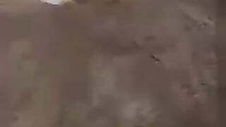 Big new for pakistani