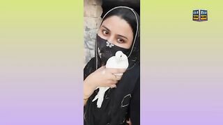 Ajj Kabootar Bazi Ki Bouht Maza Aya Special Video For Pigeons Lover By Zaiba Sajid Vlogs #faisalabad