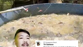Jangan lupa pasang PARANET penutup kolam dimusim kemarau