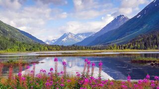 Best Colorful Nature Scenery Short Film About Wildlife Loving Earth 2025
