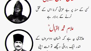 مولا علی علیہ السلام 3