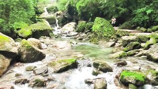 ASMR Water Flow in Natural Forest
