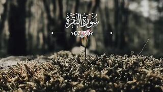 Islamic 176