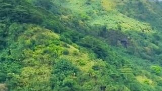 Beautiful nature 254