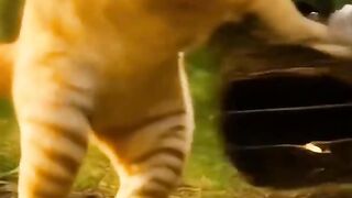Funny animation 7