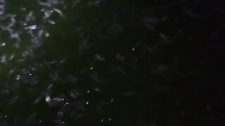 Saat kita mampu menyiapkan air untuk ikan lele musim bediding pun gak jadi soal