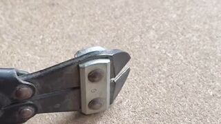 The Amazing World of Woodwork
