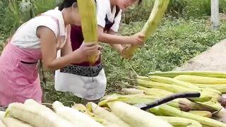 Whats the secret of the loofah in China?
