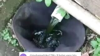 Lubang Drainase pembuangan kolam itu wajib ada