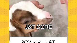 Sehat² abang kurir