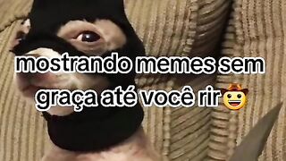 mostrando memes sem graça