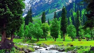Beautiful place 60