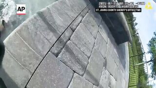 Florida deputy removes small alligator from a pool with his bare