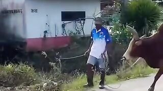Fun   masti    FunVideo  funnyreels 234