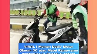 mata elang