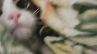 PurrHearts - Hes just a baby.
