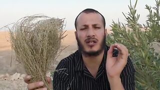 عشبة الشيح قادره على ازالة الأورام السرطانيه