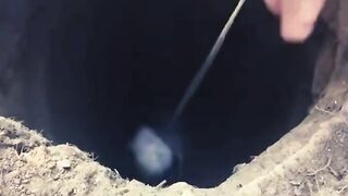 Witness the heartwarming rescue of a Cat