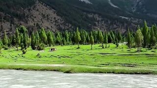 Nature of Pakistan 4