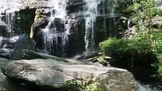 Beautiful nature 255