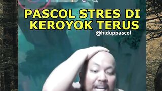Pacol Vs Saut arenavibe pascolvssaut topglobalmiya