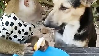 Link Original Girl One Wolf Viral Video Original 3