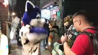 動物趣味影片