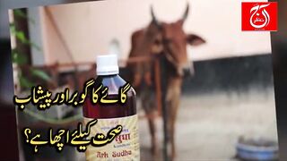 Swami Ji Ko passenay Aagye  swami ji and Cow Dung in Indian live Show
