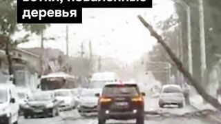 ПОЙНТ МОЛДОВА 167